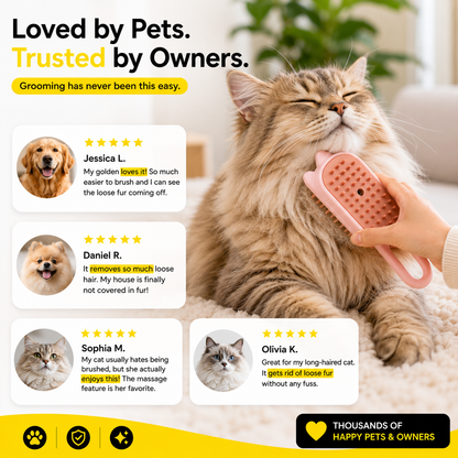 Dog Brush Electric Spray