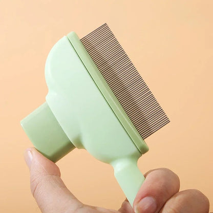 Hair Removal Brush Cleaning
