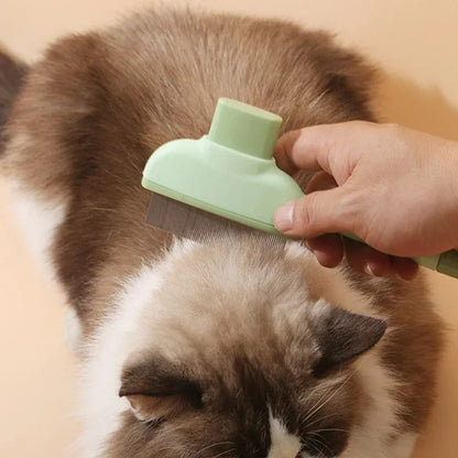 Hair Removal Brush Cleaning