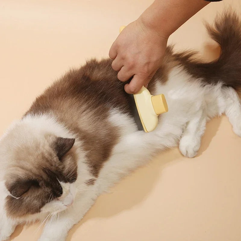 Hair Removal Brush Cleaning