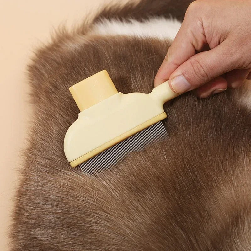 Hair Removal Brush Cleaning